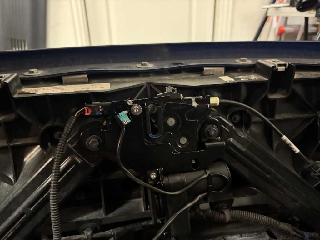 Immagine #1 da Giulia Ferrari